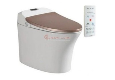 Bồn cầu thông minh Viglacera V93.GW